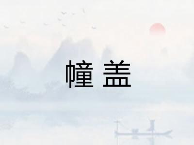 幢盖