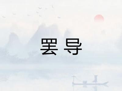 罢导