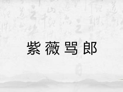 紫薇骂郎