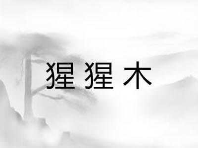 猩猩木