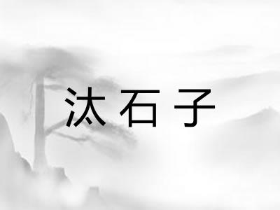 汰石子