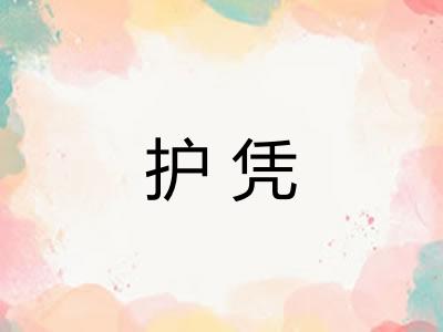 护凭