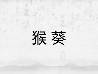 猴葵