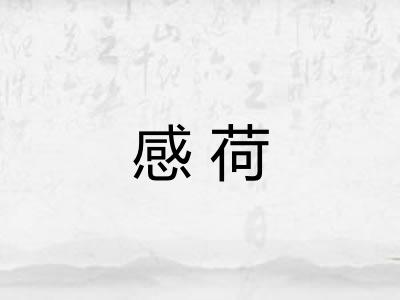 感荷