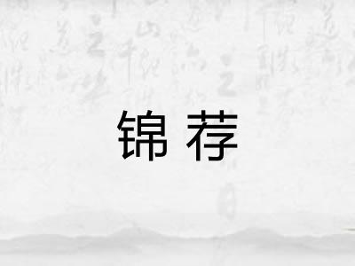 锦荐