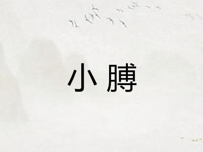 小膊