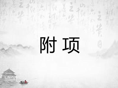 附项