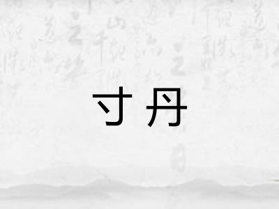寸丹