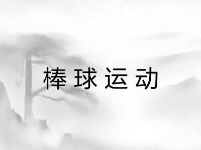 棒球运动