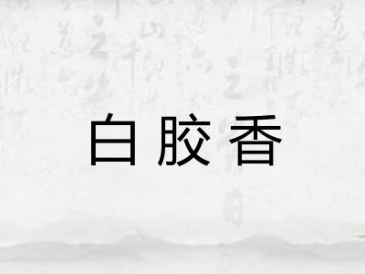 白胶香