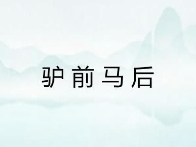 驴前马后