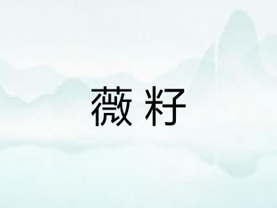 薇籽