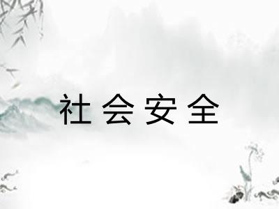 社会安全