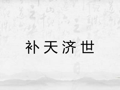 补天济世