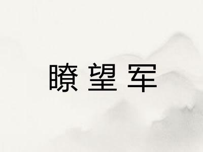 瞭望军