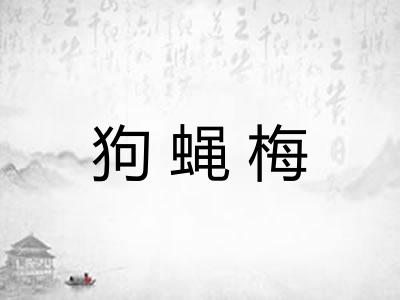 狗蝇梅
