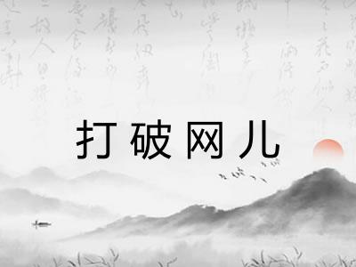 打破网儿