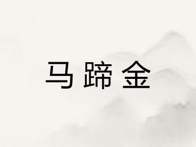 马蹄金