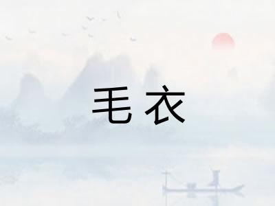 毛衣