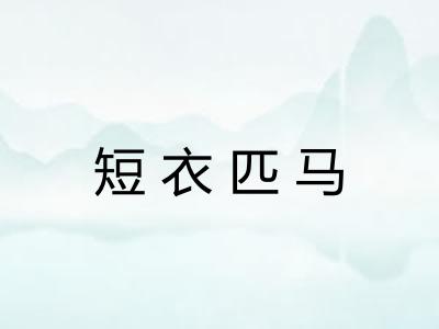 短衣匹马