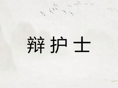 辩护士