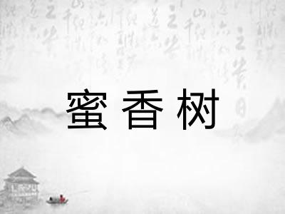 蜜香树
