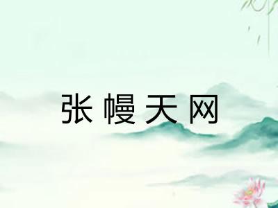 张幔天网