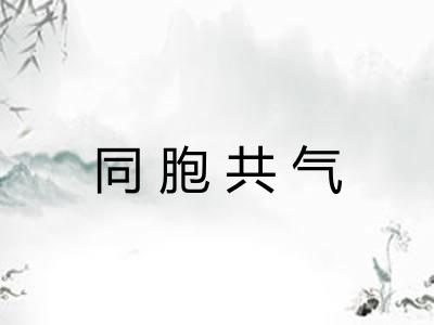 同胞共气