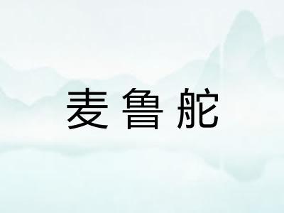 麦鲁舵