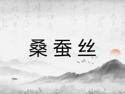 桑蚕丝