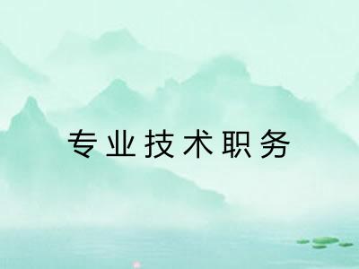 专业技术职务