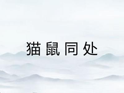猫鼠同处