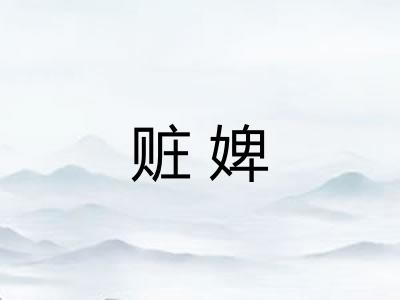 赃婢