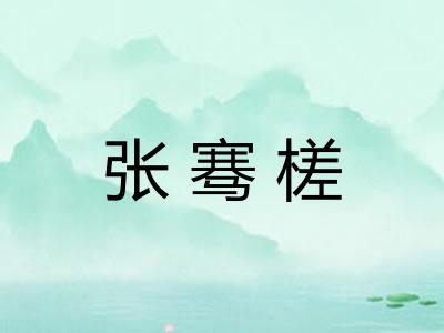 张骞槎