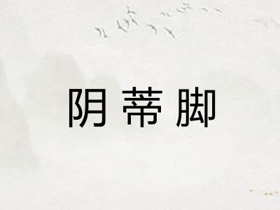 阴蒂脚