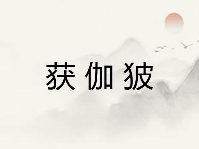 获伽狓