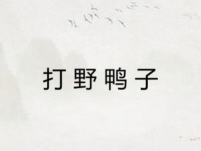 打野鸭子