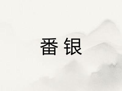 番银