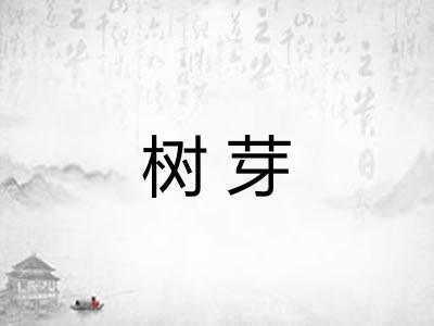 树芽