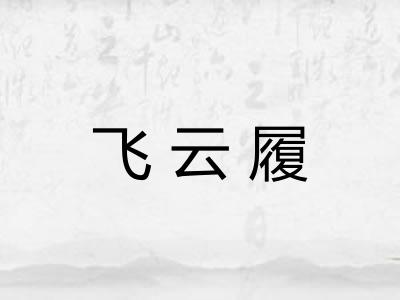 飞云履