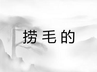 捞毛的