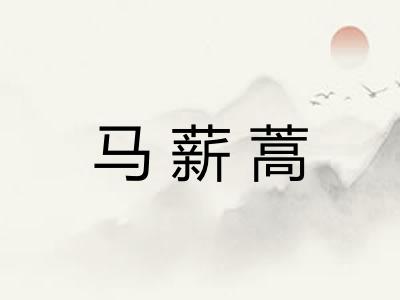 马薪蒿