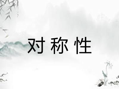 对称性