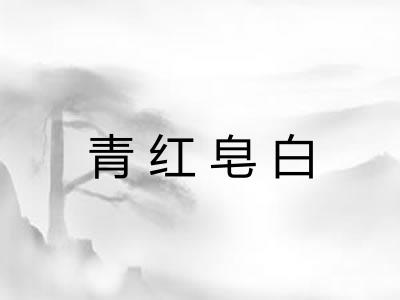 青红皂白