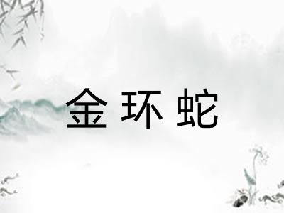 金环蛇