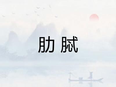 肋脦
