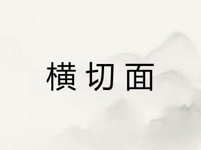 横切面