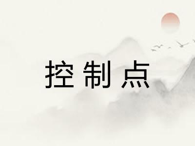 控制点
