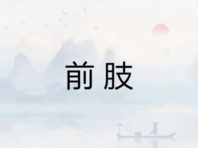 前肢