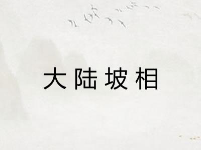 大陆坡相